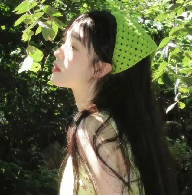 企鹅之岛：福克兰